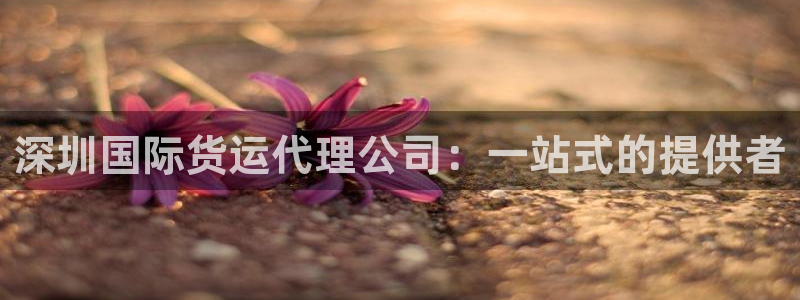 k豆钱包最新下载地址：深圳国际货运代理公司：一站式的提供