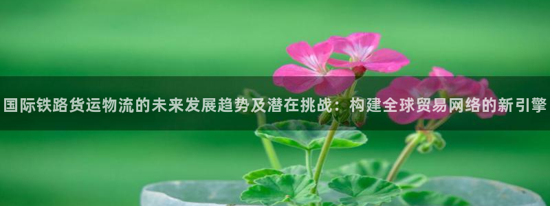 k豆钱包最新版下载：国际铁路货运物流的未来发展趋势及潜在