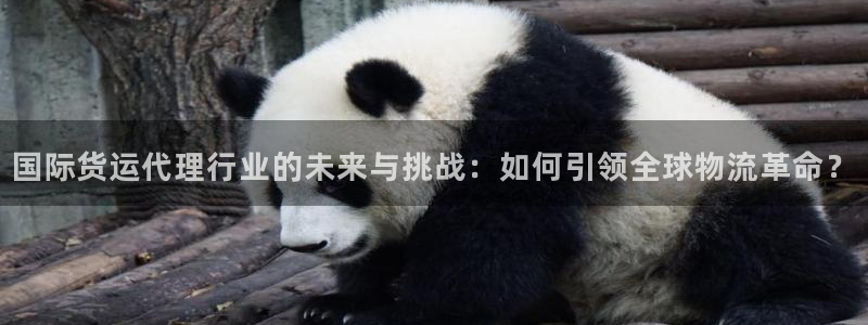 k 豆钱包4：国际货运代理行业的未来与挑战：如何引领全球