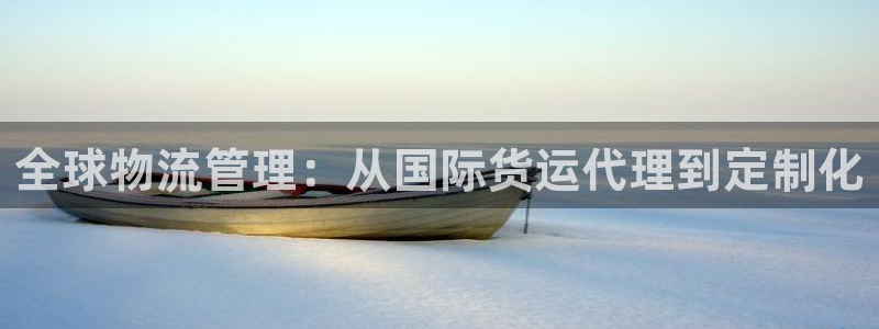 k豆钱包下载官网：全球物流管理：从国际货运代理到定制化