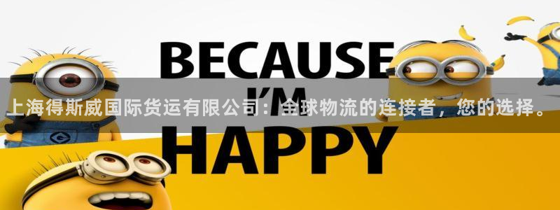 k豆钱包怎么下载：上海得斯威国际货运有限公司：全球物流的