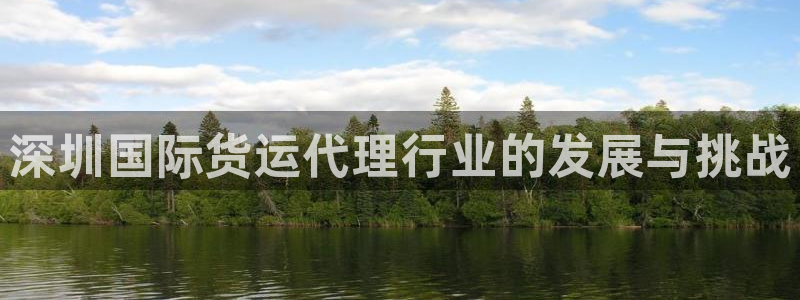 k豆钱包提现：深圳国际货运代理行业的发展与挑战
