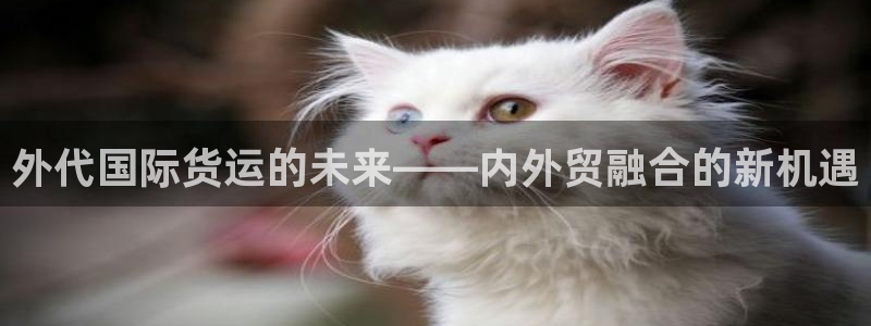 k豆钱包怎么提现到微信：外代国际货运的未来——内外贸融合
