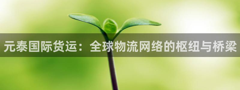 k豆钱包是正规的吗：元泰国际货运：全球物流网络的枢纽与桥