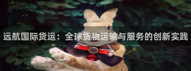 k豆钱包：远航国际货运：全球货物运输与服务的创新实践
