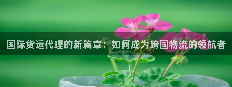 k豆钱包正确下载方式：国际货运代理的新篇章：如何成为跨国