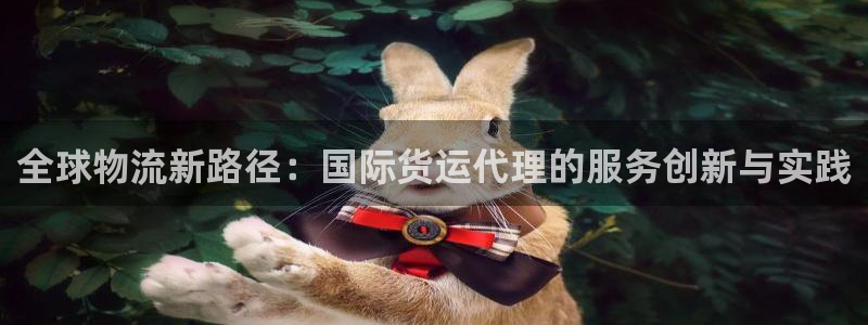 k豆钱包安卓版：全球物流新路径：国际货运代理的服务创新与