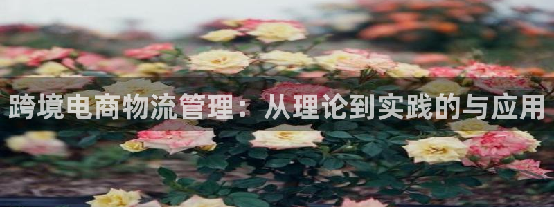 k豆钱包最新版本下载：跨境电商物流管理：从理论到实践的与