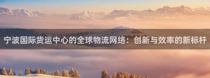 k豆钱包为什么下载不得呢：宁波国际货运中心的全球物流网络