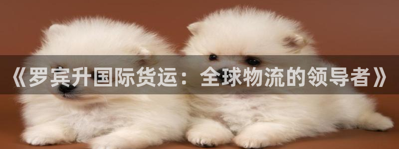 k豆钱包链接：《罗宾升国际货运：全球物流的领导者》
