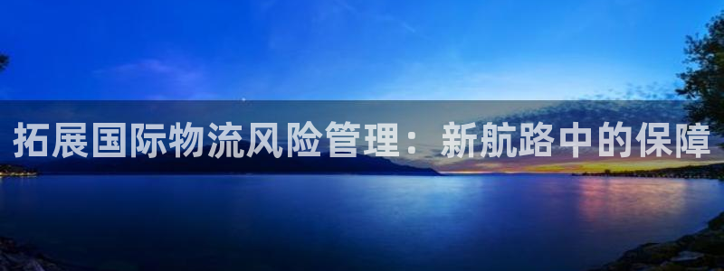 k豆支付钱包下载：拓展国际物流风险管理：新航路中的保障