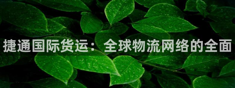 k豆钱包1.0.92：捷通国际货运：全球物流网络的全面