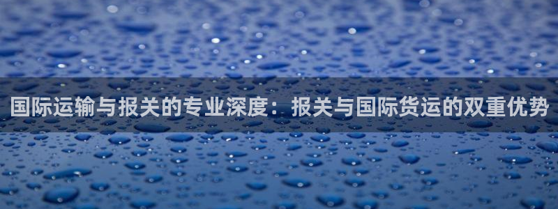 k豆钱包是合法的吗：国际运输与报关的专业深度：报关与国际
