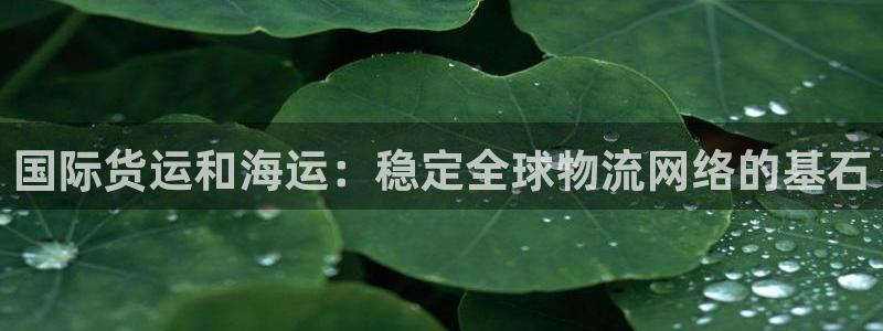 k豆钱包是正规的吗