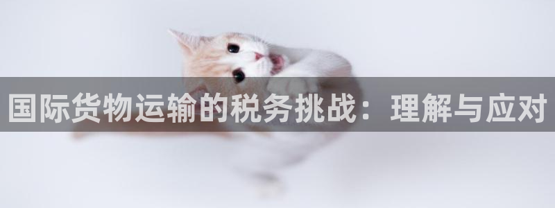 k豆钱包最新版本下载2024